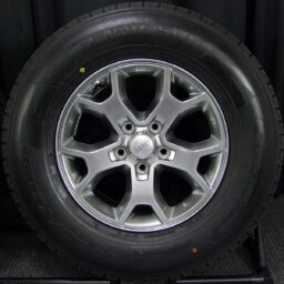 17gaw041