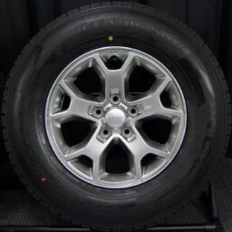 17gaw041