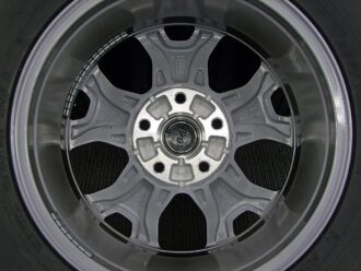 17gaw041