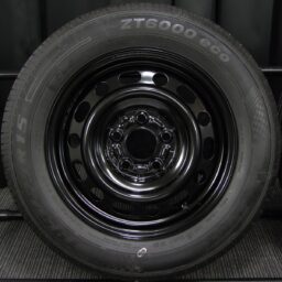 15gss017