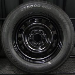 15gss017