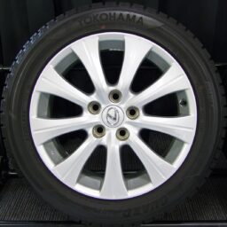 17gaw043