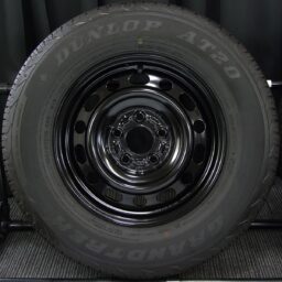 15gss018