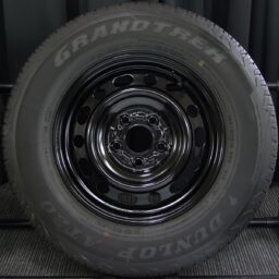 15gss018