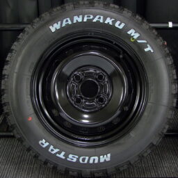 13gss024