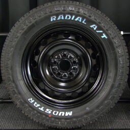 15gss019