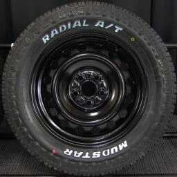 15gss019