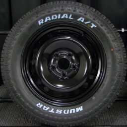 15gss020