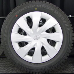 15gsw106
