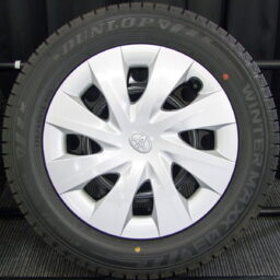 15gsw106