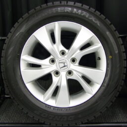 16gaw099