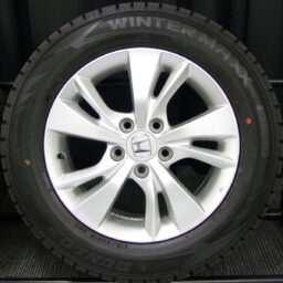 16gaw099