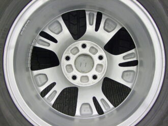 16gaw099